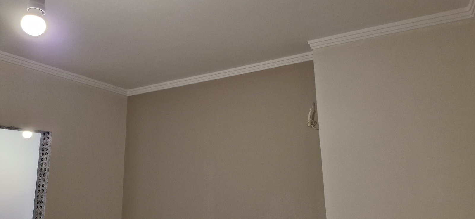 Renovation Insight